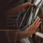 Ley de polarizados