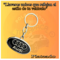AUDI (1)