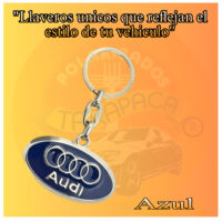 AUDI (3)