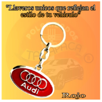 AUDI (3)